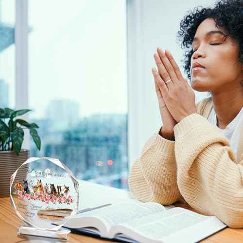 Gerrii Horse Acrylic Christian Gifts for Women Christmas Birthday Inspirational Religious Gifts for Friends Bible Verse Table Decor Motivational Scripture Prayer Mom Female Coworker Sister Plaques