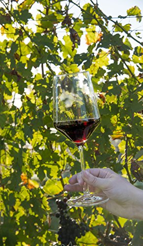 Zwiesel Glas Pure Cabernet Red Wine Glass Set of 4 - 19oz Dishwasher Safe Crystal