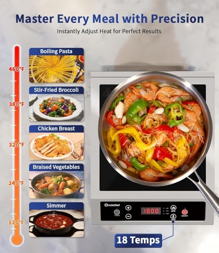 Stainless Steel Induction Cooktop, Professional-Grade Portable Burner