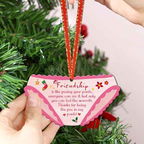 Friendship Christmas Ornament Funny Friends Christmas Ornament for Christmas Tree Funny Friendship Ornament Christmas Decorations Xmas Gifts for Girls Bestie Soul Sister Women Friends (2D)