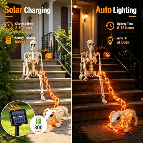 Outdoor Skeleton & Dog Skeleton with Light Chain - Halloween Decorations
