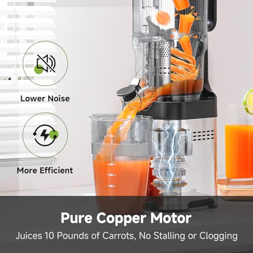 Cold Press Juicer with 5.4-Inch Wide Chute - Silver, Self-Feeding Slow Juicer