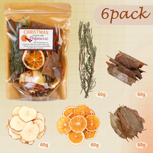 Dimsile 6 Pack Warm Holiday Christmas Potpourri Simmer Kit 480g