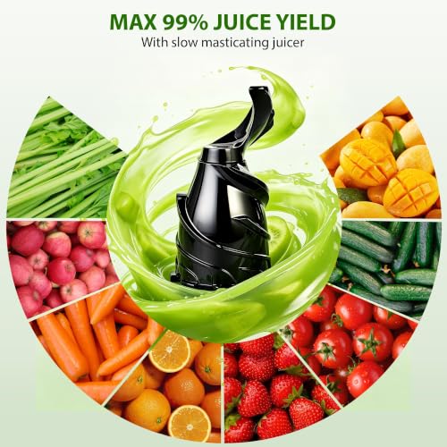 Pukomc Cold Press Juicer with Smart Touch Display & Brushless Motor