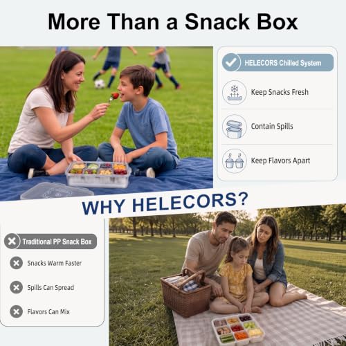 Insulated Snack Box with 8 Stainless Steel Cups & Ice Pack - Kids Travel & Picnic Container Variation of 8 Compartment With Ice Pack