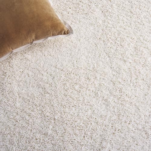 Safavieh 4x6 Ivory California Shag Area Rug - Ultra Plush Non-Shedding Home Decor