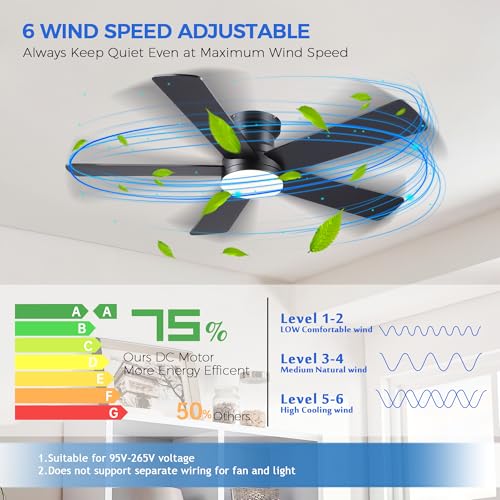 Ayaoty 48in Black Flush Mount Ceiling Fan with Lights, 6-Speed Dimmable Reversible Motor