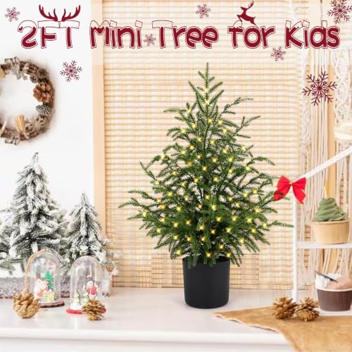 2FT ENVEN Norfolk Pine Christmas Tree - Prelit 30 LEDs, 8-Mode Battery Box, 1 Pack (2ft-1 Pack)