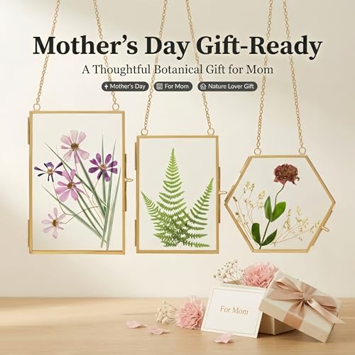 Relaxing Garden Pressed Flower Frame Kit - 3 Hanging Glass Botanical Wall Decor