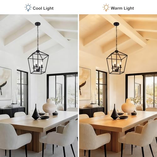 Black Farmhouse 4-Light Chandelier Ceiling Light Fixture with Adjustable Chain
