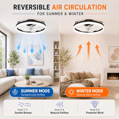 Amceiling 20 Inch Black Ceiling Fan with Lights, Easy Install & App Control