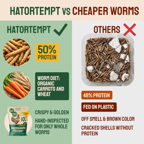 5lb Dried Mealworms for Chickens & Wild Birds - Whole Crispy Bird Food