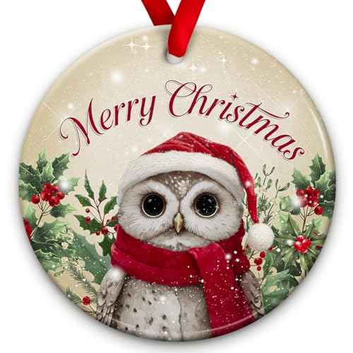 Owl Christmas Ornament 2025 ? Adorable Animal Christmas Tree Decoration, Holiday Keepsake Gift for Kids, Festive Owl Xmas Tree Decor, Winter Gift Ideas for Animal Lovers, Friends and Family