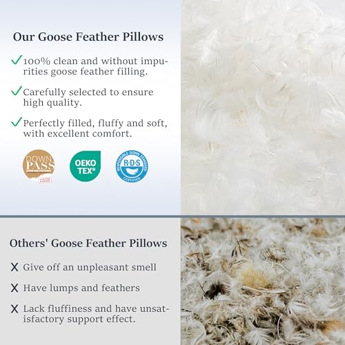 Queen Size Goose Down Feather Pillow Set of 2 - Medium Firm Support