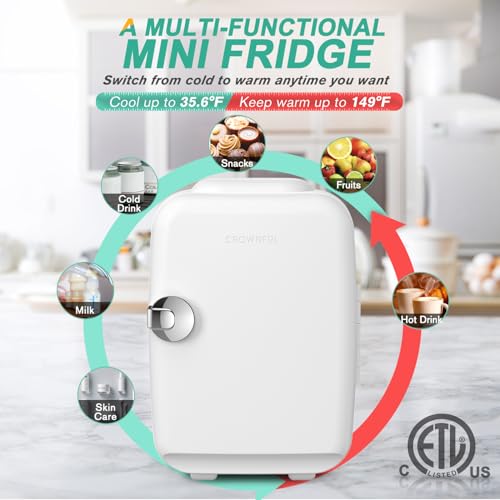 Mini Fridge 4L Portable Cooler & Warmer for Skin Care, Cosmetics, Drinks - White