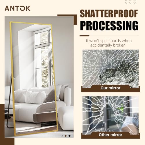 Antok Full Length Over The Door Mirror 58x21in Shatterproof Glass Wall Mount Gold Frame