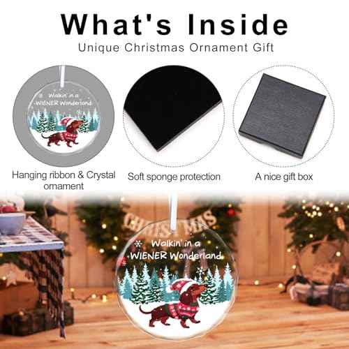 Christmas Ornaments 2025 - Dachshund Christmas Decorations Weiner Dog Decor Dachshund Gifts for Women Glass Christmas Dachshund Ornament with Box