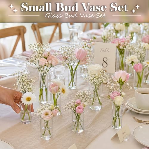 48pcs Glass Cylinder Vases Set - 4, 5, 6 Inch Clear Flower & Candle Holders with Variation 4+4+5+6 Inch