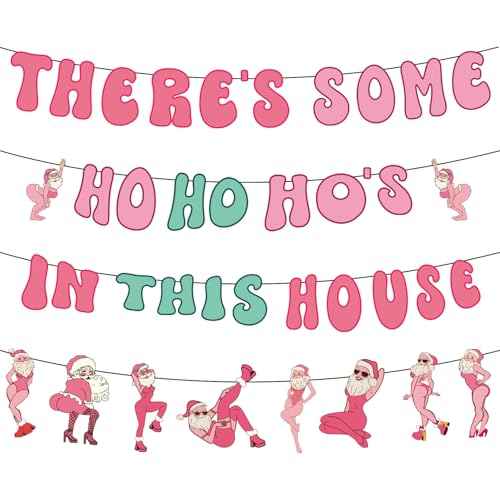 Gameza Friendsmas Christmas Party Decorations - 4PCS There's Some Ho Ho Hos in This House Christmas Banner Pink Naughty Christmas Decorations Party Holiday Santa Claus Xmas Party Decor Supplies No DIY