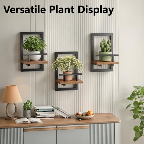 Sbosbo Rustic Brown Floating Wall Shelves for Plants - Set of 2