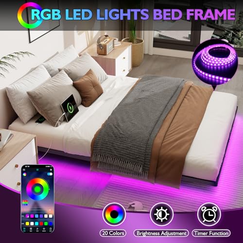 Queen Size Floating Metal Platform Bed Frame with LED Lights & Charging Station - Lurxhome