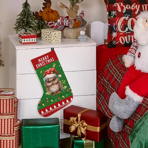 KFXHANGD Owl Christmas Stocking - 18 Inch Holiday Decor for Fireplace, Kids, Women, Men, Red & Green Xmas Gift Hangings - Variation: Owl