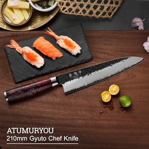 8.27 Inch Japanese Gyuto Chef Knife - Black Forged VG10 Steel, Hand-Sharpened