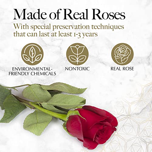 Preserved Roses Heart Gift Box - 27 Red Forever Roses for Love & Decor