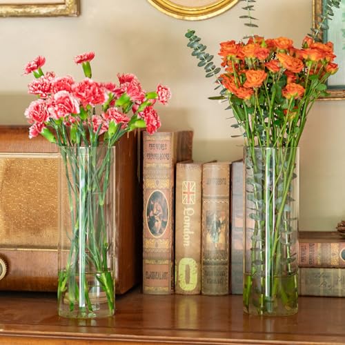 7 Pack 10 Inch Glass Cylinder Vases for Centerpieces - Clear Flower & Candle Holders
