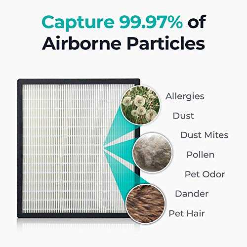 HEPA True Air Filter Replacement for BreatheSmart FIT50 - Allergies & Dust - Pack of 1