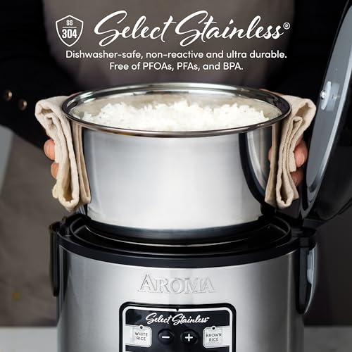 Stainless Steel Rice Cooker & Multicooker 8-Cup Capacity with Steamer - Variation of Stainless Steel Pot