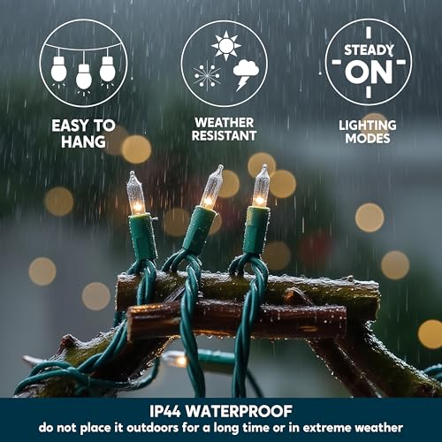 Joiedomi Clear Christmas String Lights Indoor,100 Count Mini Warm White Fairy Light,19.4 FT Lighting Decor for Patio Dorm Classroom Bedroom Holiday Wedding Party Garland Birthday Festival,Green Wire