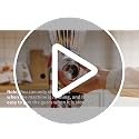 GVODE Silver Grain Mill Attachment for KitchenAid Stand Mixer - 9 Grind Levels