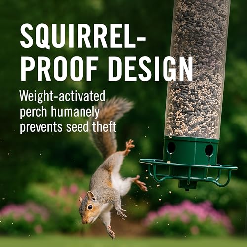 Squirrel Proof Bird Feeder 5lb Capacity - Weatherproof Outdoor Bird Feed Station