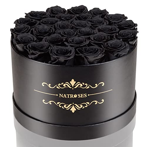 Black Preserved Roses in Elegant Gift Box - 27 Long-Lasting Flowers for Women
