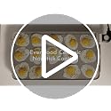 BELLA 12 x 22 Inch Electric Ceramic Nonstick Griddle Oatmilk Variation