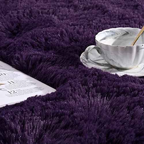 Softlife Rugs for Bedroom 4x5.3 Feet Purple Area Rug for Living Room Super Soft Shaggy Rugs for Dorm Fluffy Fuzzy Carpets Long Plush Bedside Rug Nursery Girls Boys Kids Room Home Christmas Decoration