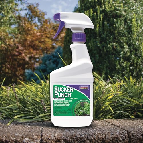 Bonide Sucker Punch Ready-to-Use Spray 16 oz | Controls Plant Suckers & Growth
