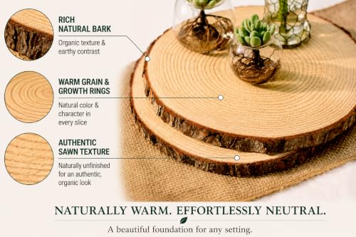 Medium Wooden Slices for Centerpieces - Set of 10 9-11 Inch Rustic Wood Decor