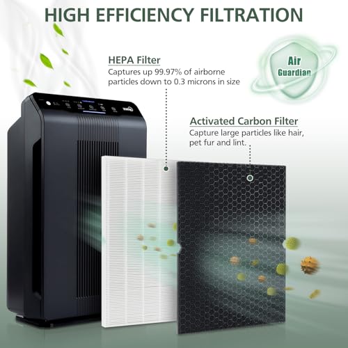 Air Purifier Filter Replacement Pack for Winix 5500-2 & AM80 - 2+2 HEPA & Carbon