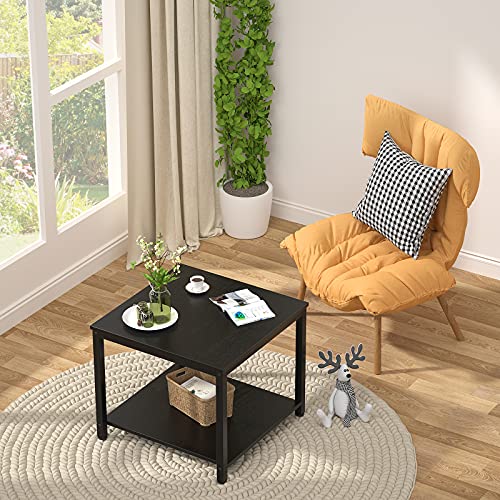 Homieasy Black 20-Inch Square 2-Tier Metal Wood Side Table for Living Room & Bedroom