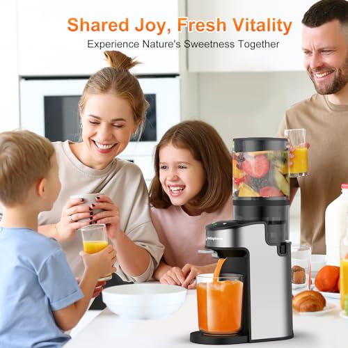 Cold Press Juicer Machine 400W with Wide Feed Chute - Silver Gray