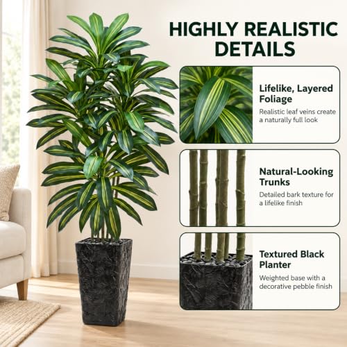 Artificial Dracaena Tree 6FT with Black Planter - Indoor Faux Plant, Realistic Tall Decorative Tree Variation of Green-Black Pot