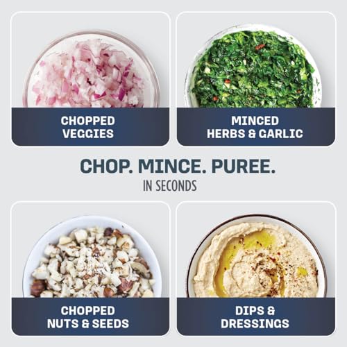 Ninja Express Chop Manual Food Processor 16oz Gray NJ100GR