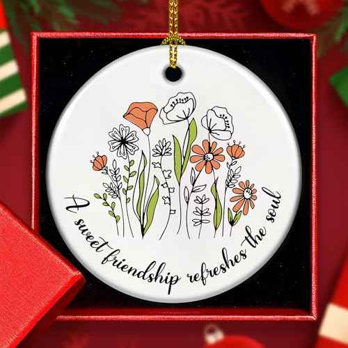 Wrappiness Friendship Ornament Gifts for Women - Christian Art Gifts for Best Friend, Besties, Sister Inspirational Ceramic Christmas Ornaments - A Sweet Friendship Refreshes The Soul Hanging D?cor