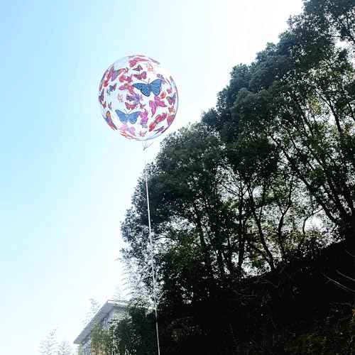 Bobo Balloons Butterfly Printed,Helium Style Transparent Bubble Clear Balloons,Gifts for Christmas,Wedding,Birthday Party Decorations (Butterfly, 24 inch 10 Packs)