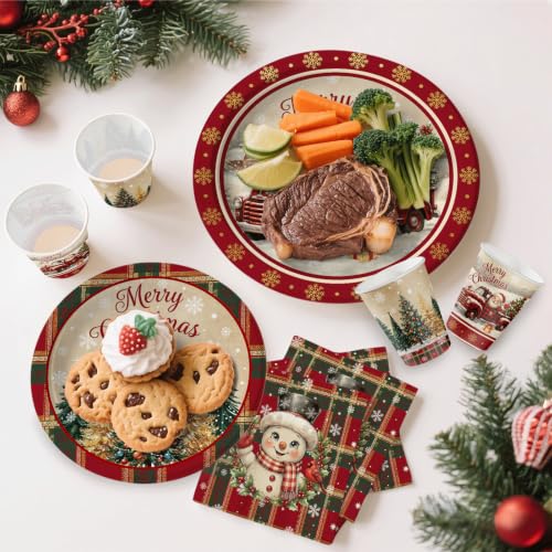 Hiboss Christmas Party Supplies 104 pcs Santa & Snowman Disposable Tableware - Variation 03