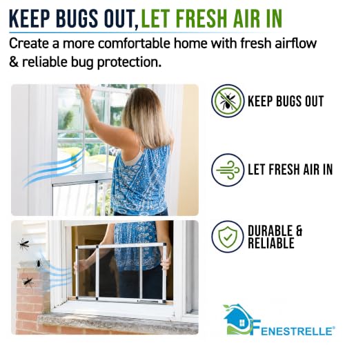 Fenestrelle Expandable Window Screen - Medium (15" H x 21-40" W) 2-Pack