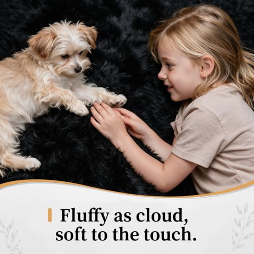 Zomfy Black 9'x12' Shag Area Rug for Living Room & Bedroom, Washable Plush Fuzzy Carpet