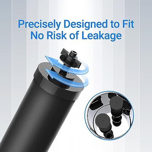 Filterlogic 2-Pack Gravity Water Filter Replacement for Berkey BB9-2 - Purewell